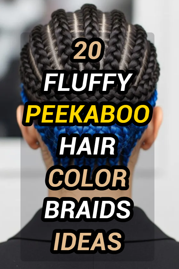 20 Peekaboo Hair Color Braids Ideas